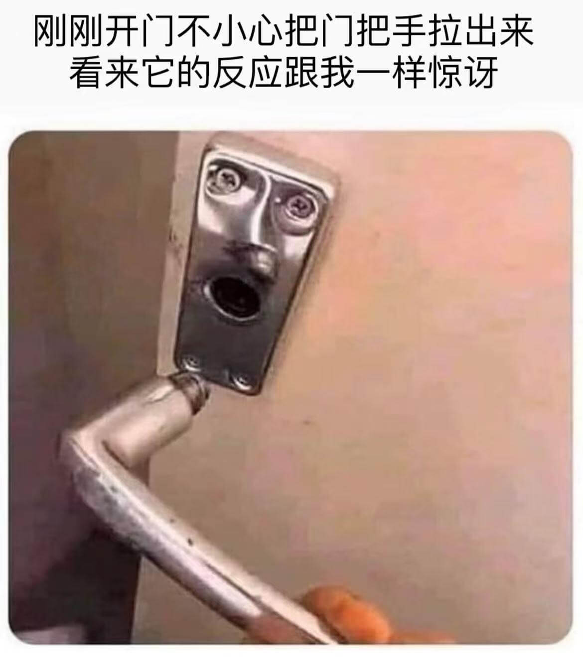 刘刚开门时不小心把门把手拉出来，看来它的反应跟我一样惊呀。