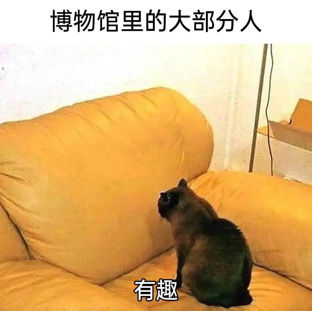 博物馆里的大部分人有趣