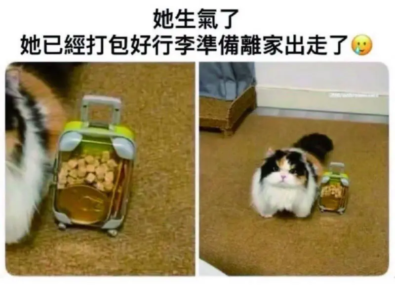 她生氣了。她已經打包好行李，準備離家出走了。
