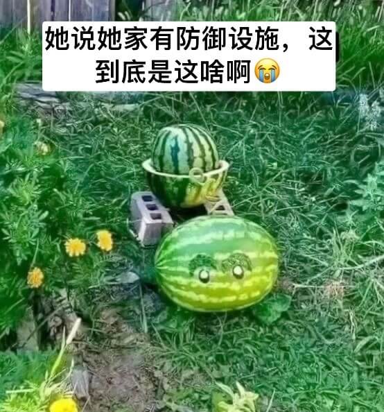 她说她家有防御设施，这到底是这啥啊