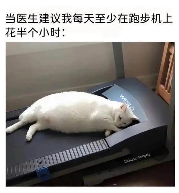 当医生建议我每天至少在跑步机上花半个小时：@talum.st