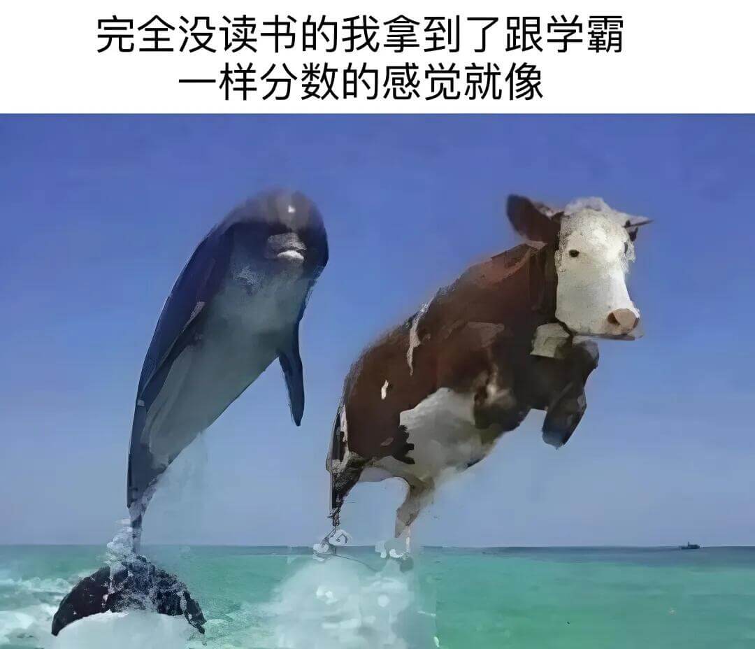 完全没读书的我拿到了跟学霸一样分数的感觉就像