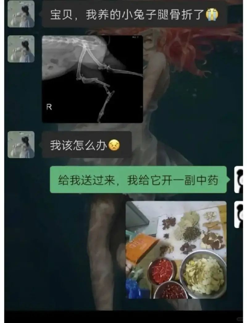宝贝，我养的小免子腿骨折了我该怎么办给我送过来，我给它开一副