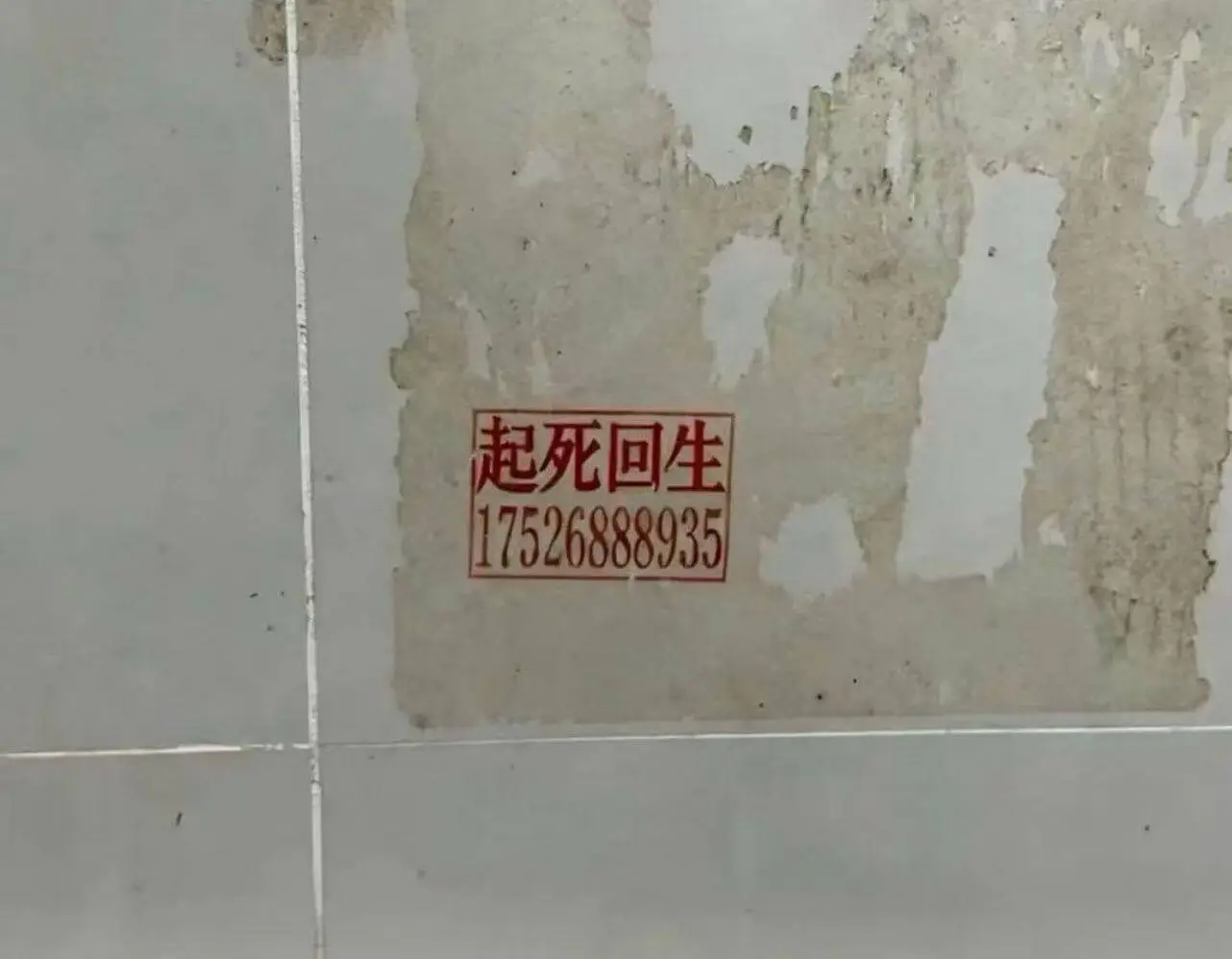 起死回生17526888935