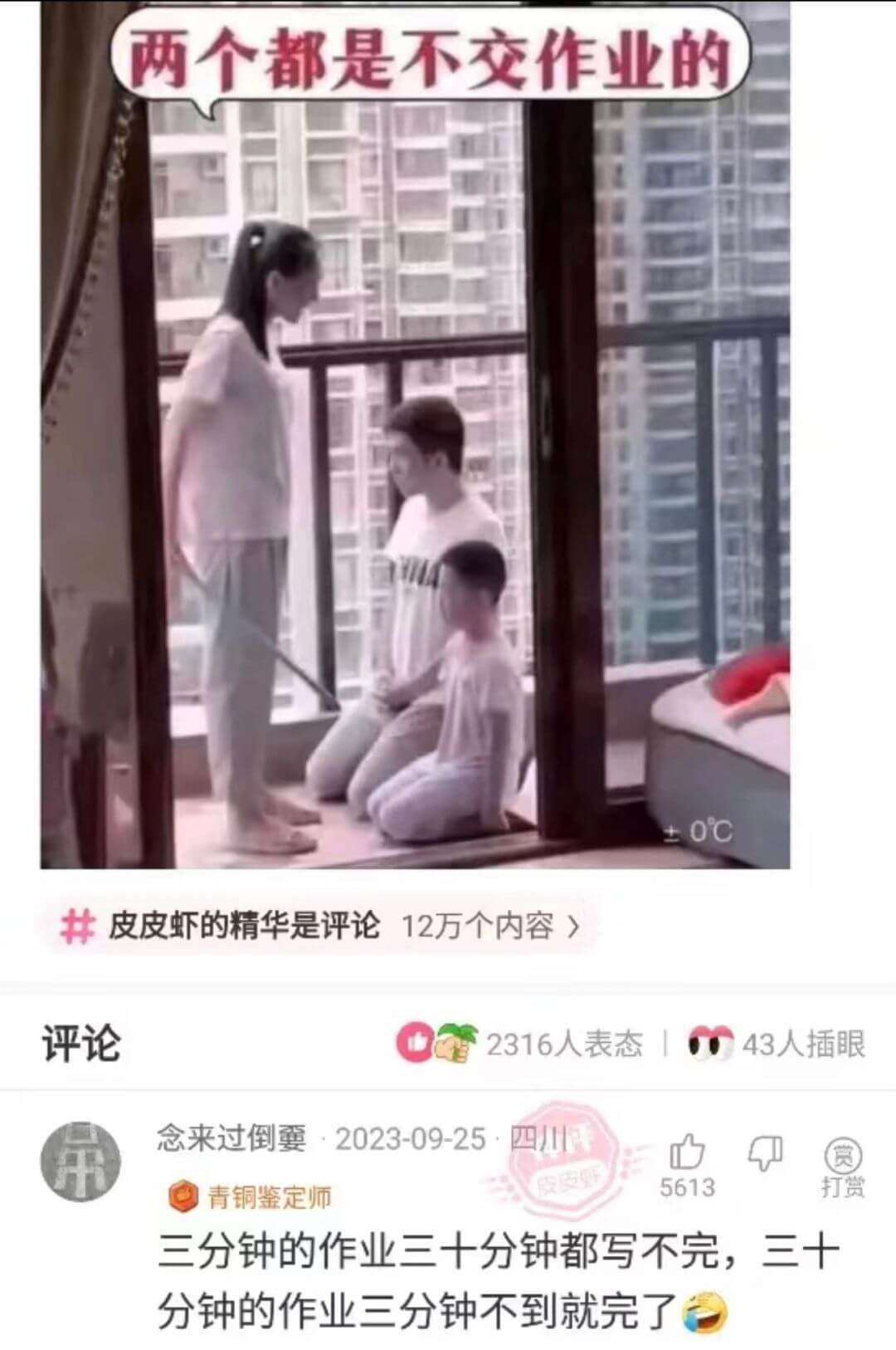 两个都是不交作业的±0℃皮皮虾的精华是评论12万个内容>评论