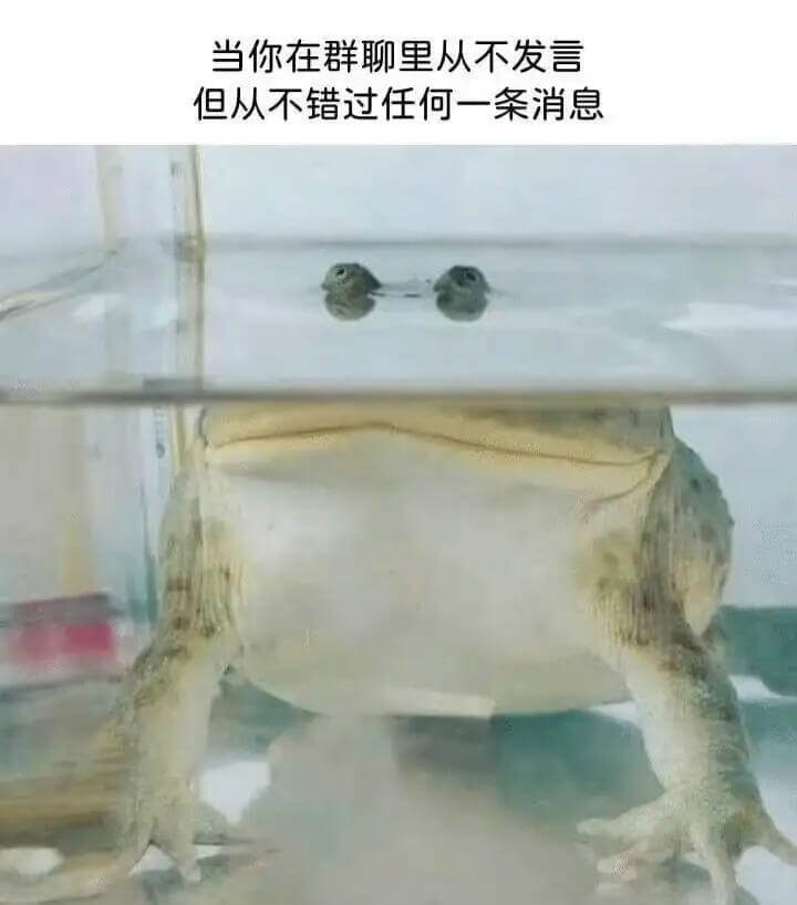 当你在群聊里从不发言，但从不错过任何一条消息