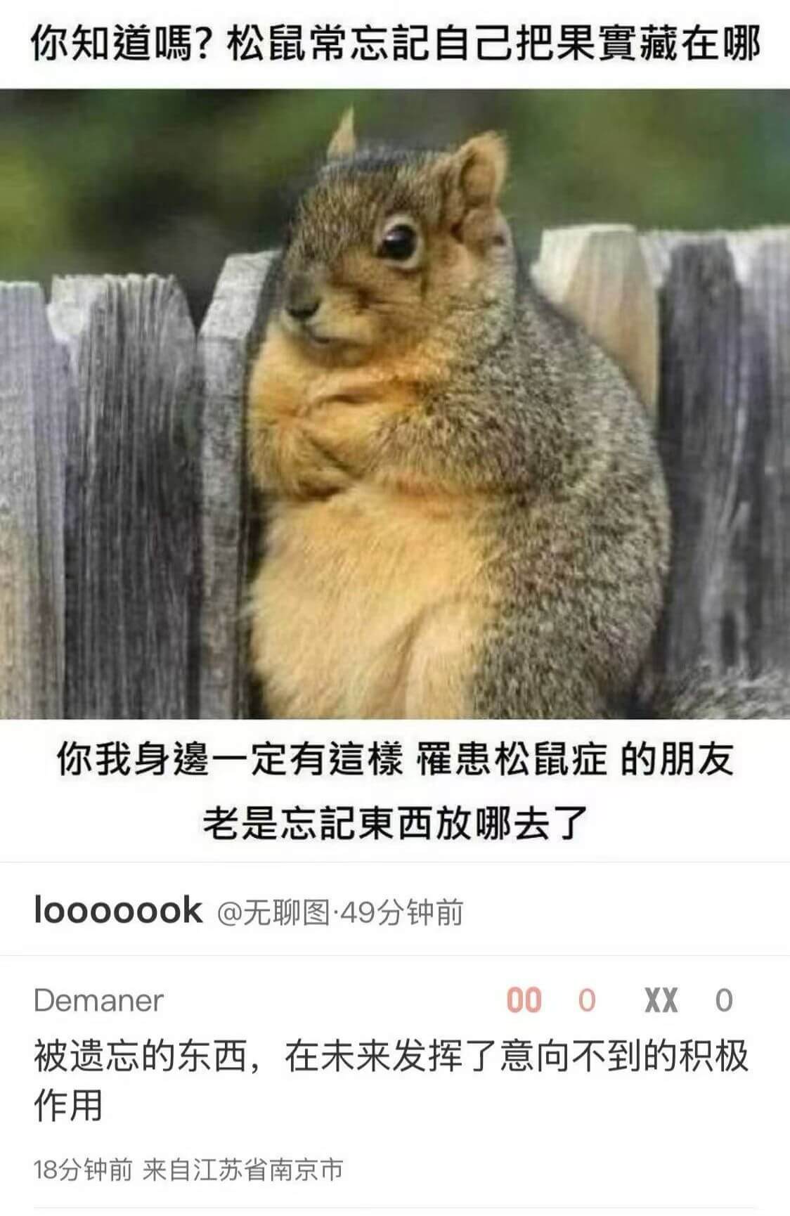 你知道吗？松鼠常忘记自己把果实藏在哪。你我身边一定有这种患有