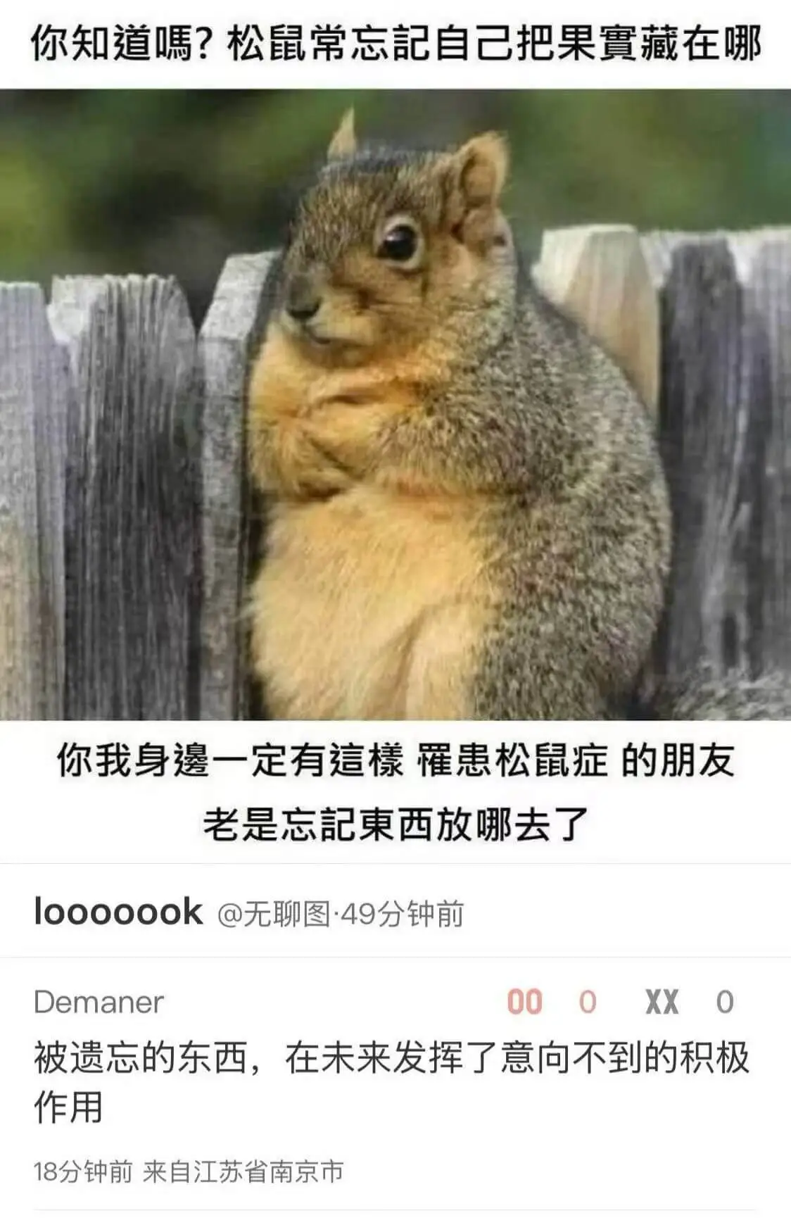 你知道吗？松鼠常忘记自己把果实藏在哪。你我身边一定有这种患有