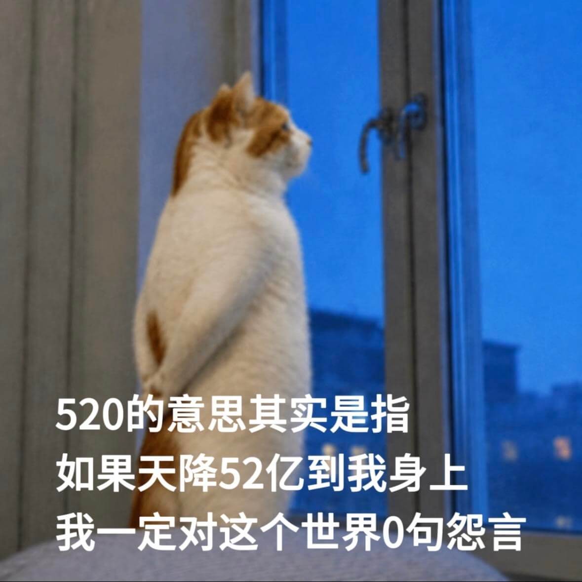 520的意思其实是指:如果天降52亿到我身上,我一定对这个世