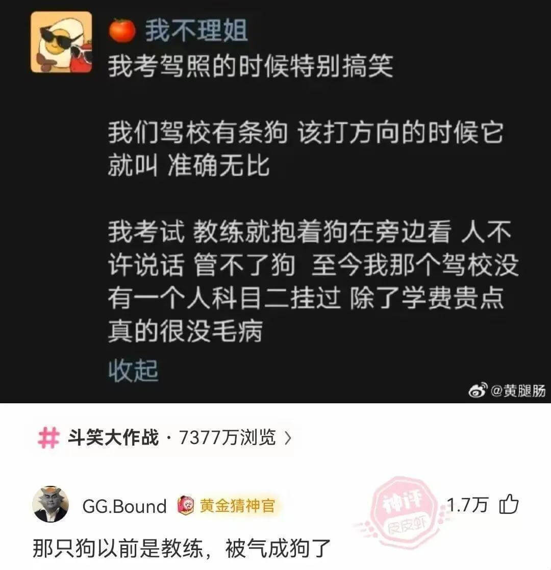我考驾照的时候特别搞笑。我们驾校有条狗，该打方向的时候它就叫