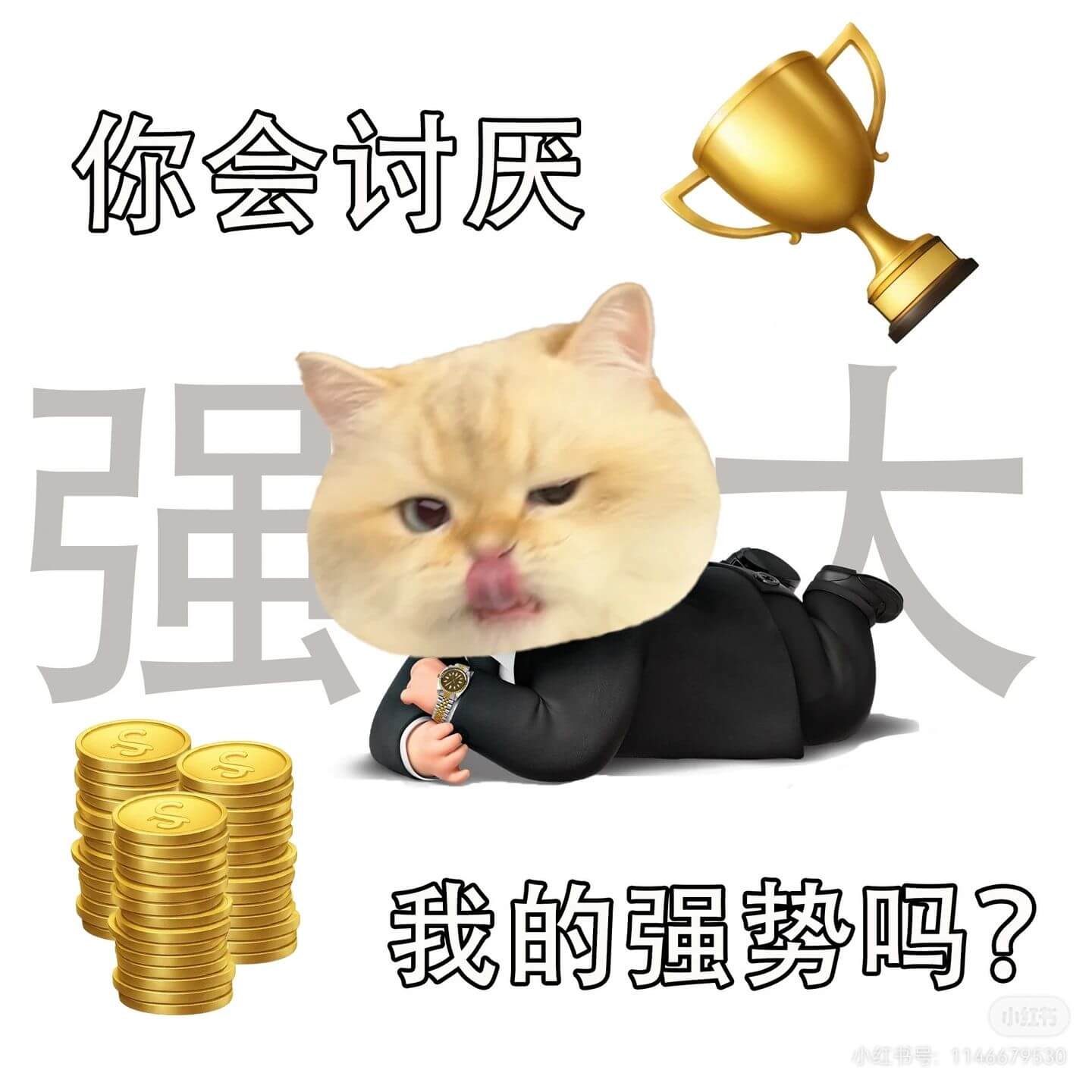 你会讨厌我的强势吗?小红小红书号:1146679530