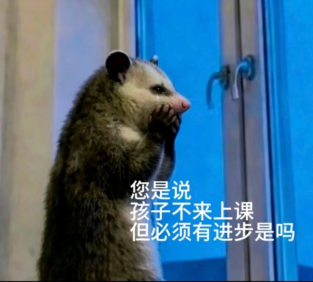 您是说孩子不来上课，但必须有进步，是吗？