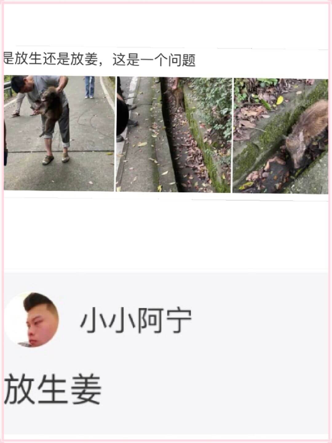 是放生还是放姜，这是一个问题小小阿宁放生姜