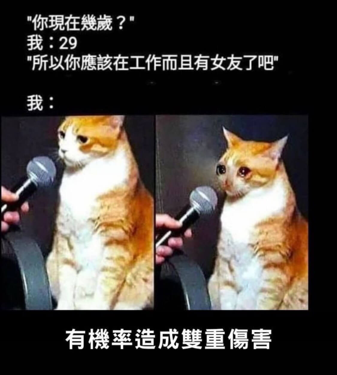 你現在幾歲？我：29所以你應該在工作而且有女友了吧我：有機率