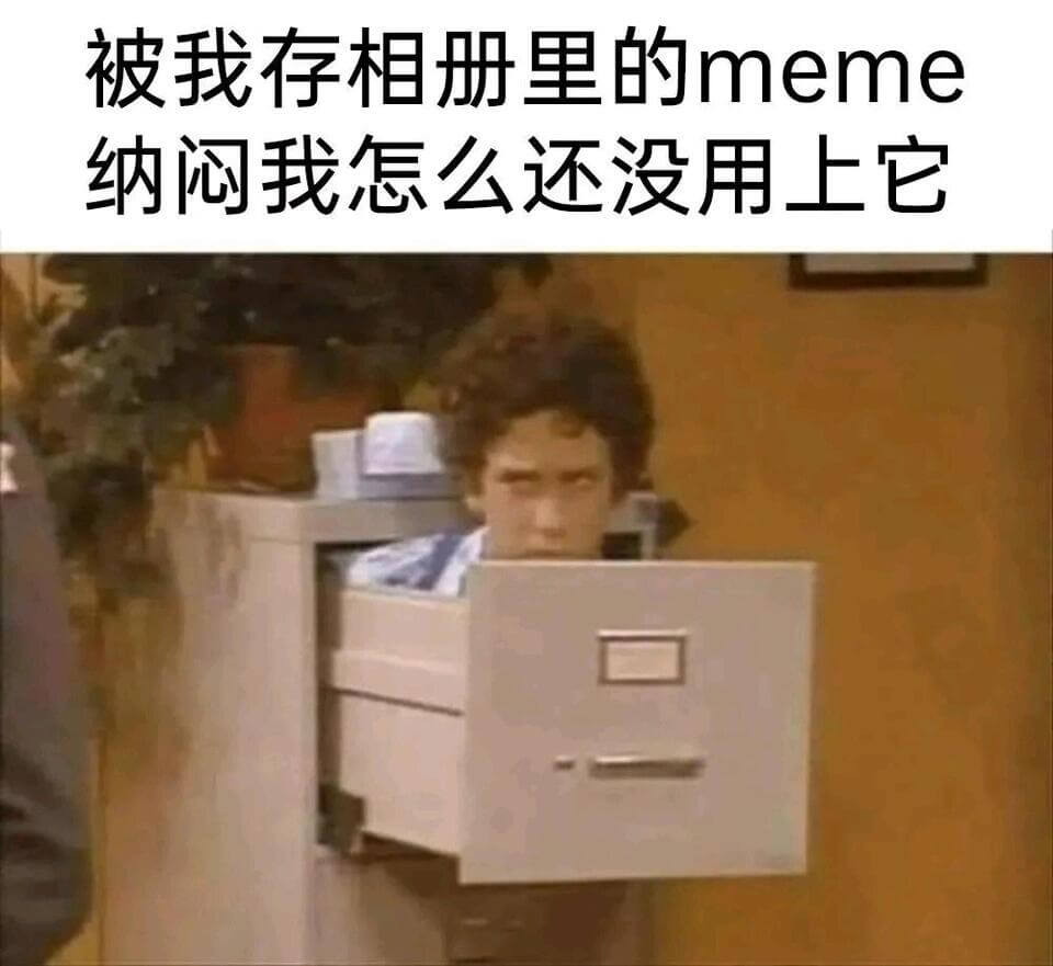 被我存相册里的meme，纳闷我怎么还没用上它。