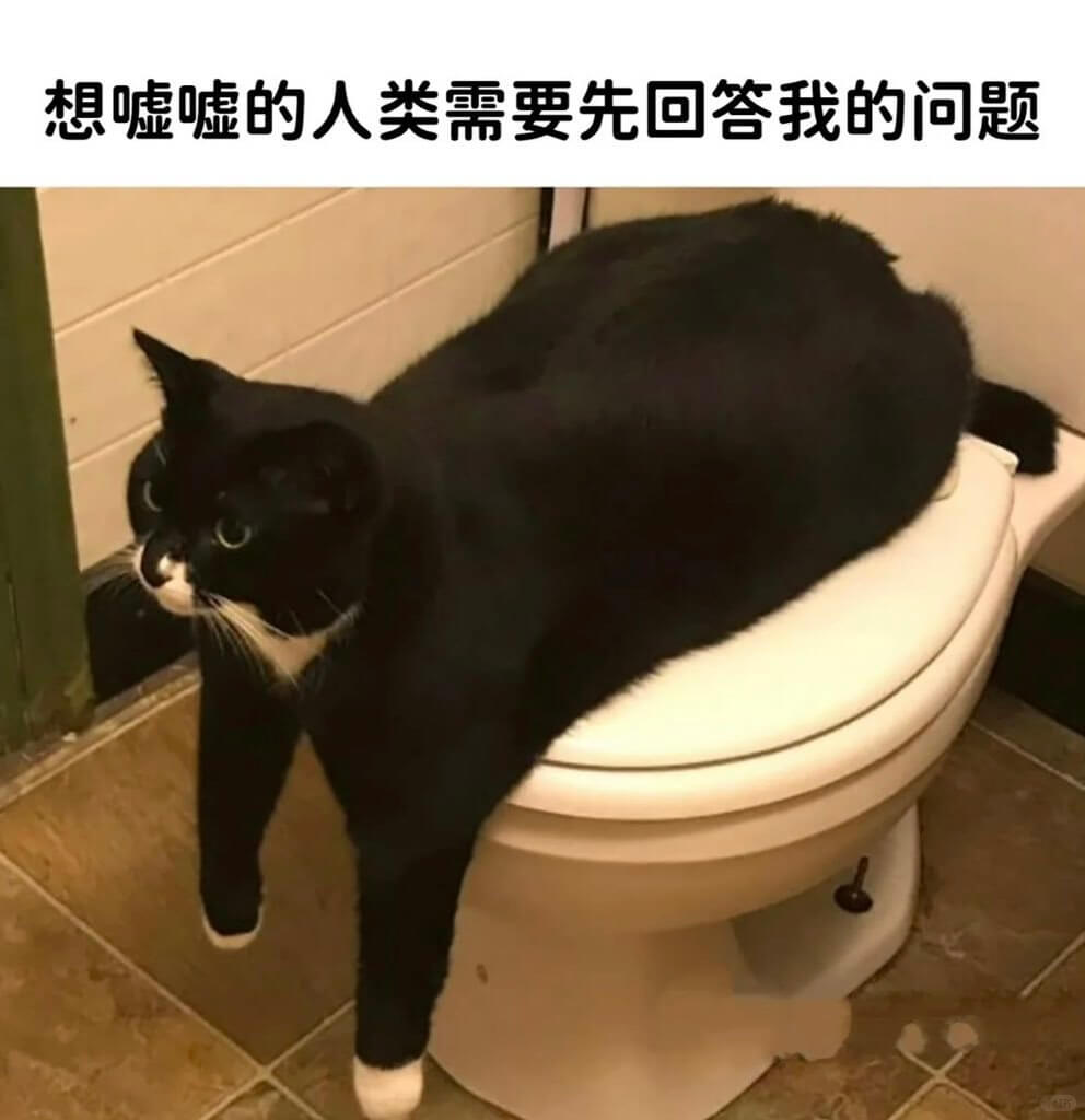 想嘘嘘的人类需要先回答我的问题