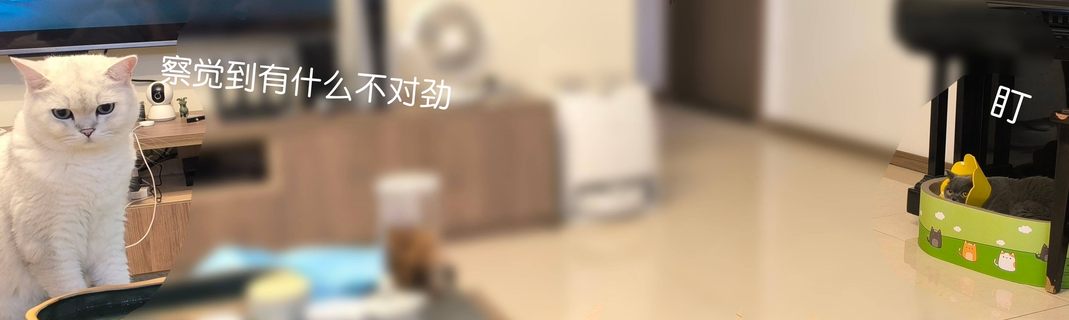 察觉到有什么不对劲