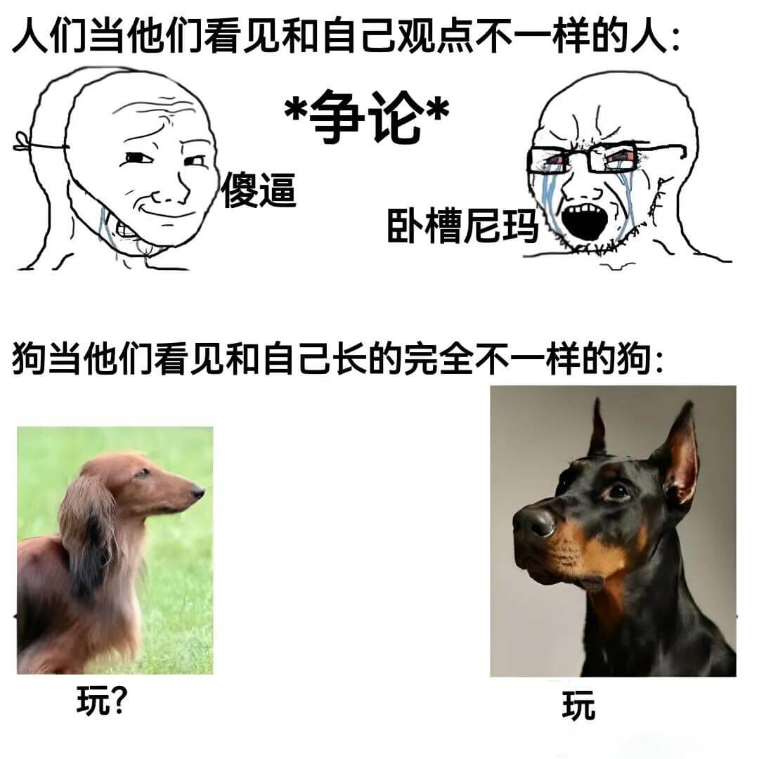 人们当他们看见和自己观点不一样的人！争论。傻逼！卧槽，尼玛！