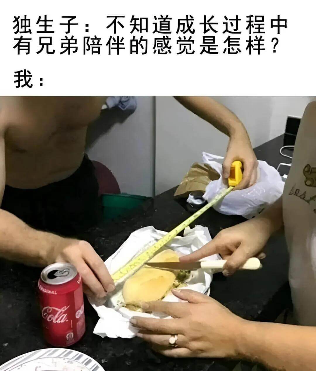 独生子：不知道成长过程中有兄弟陪伴的感觉是怎样？我：人