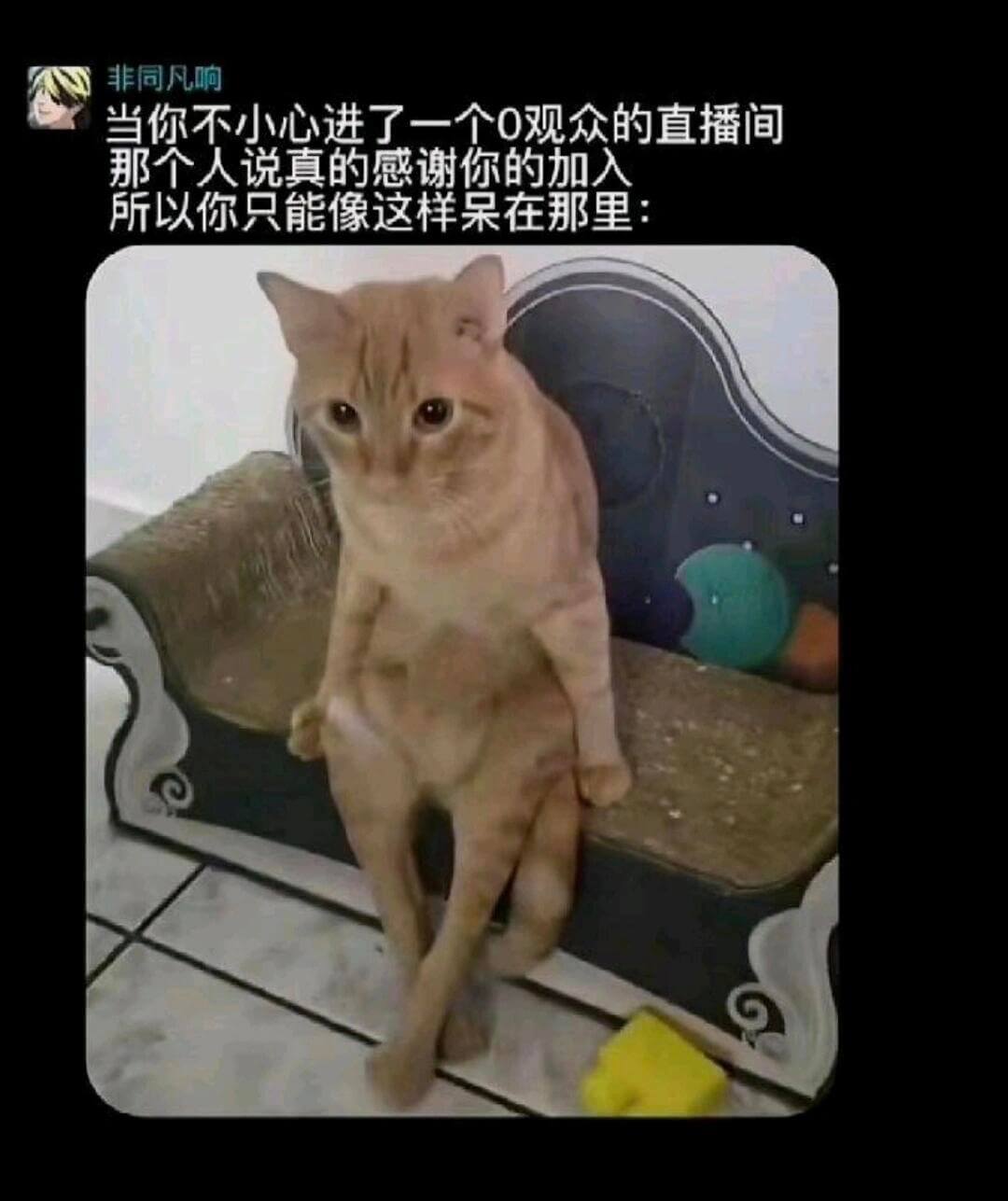 非同凡响当你不小心进了一个0观众的直播间，那个人说：“真的感