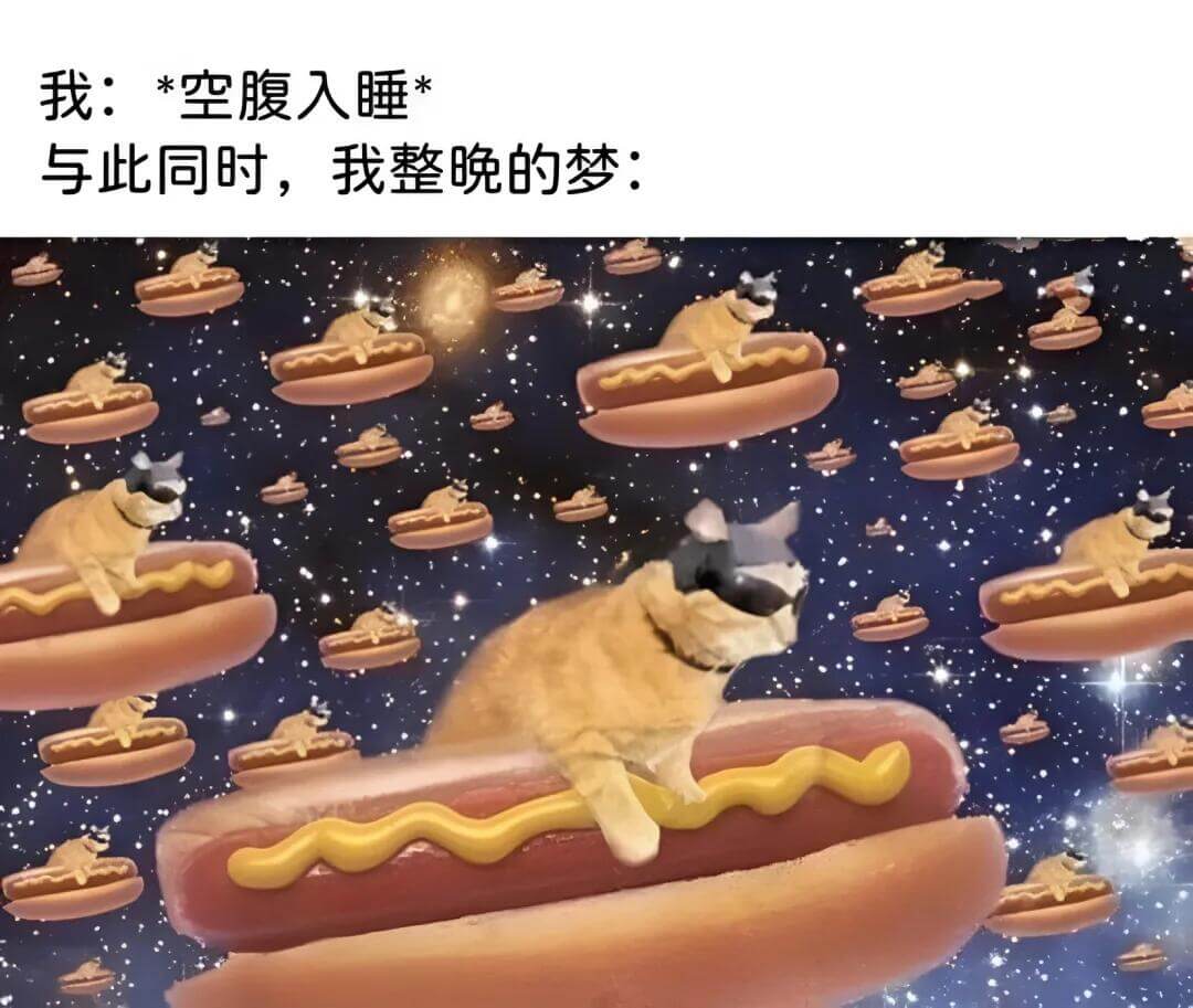 我：*空腹入睡与此同时，我整晚的梦：