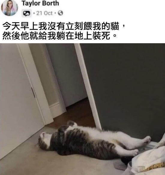 TaylorBorthQ·210ct·G今天早上我没有立刻理