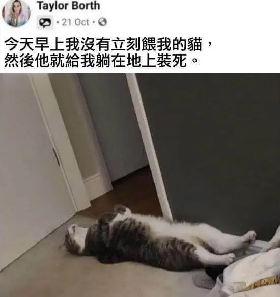 TaylorBorthQ·210ct·G今天早上我没有立刻理