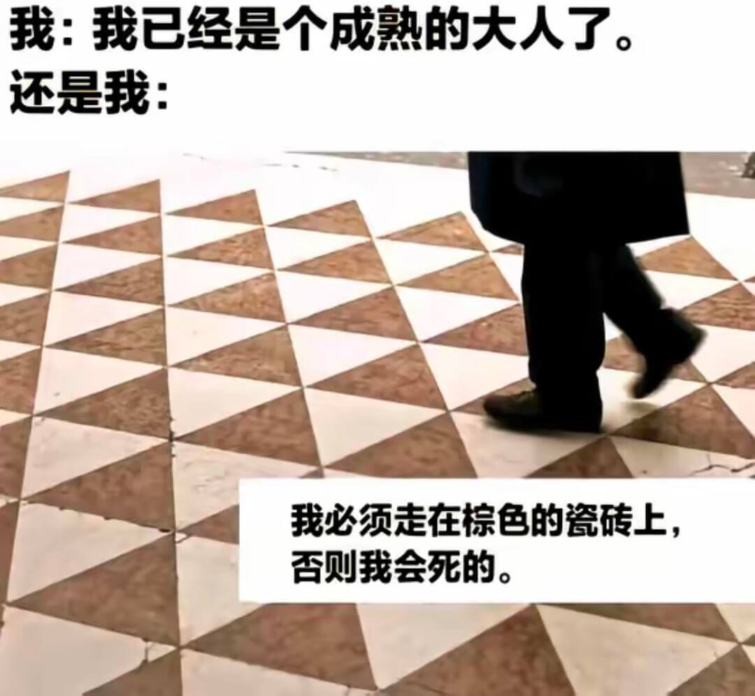 我：我已经是个成熟的大人了。还是我：我必须走在棕色的瓷砖上，