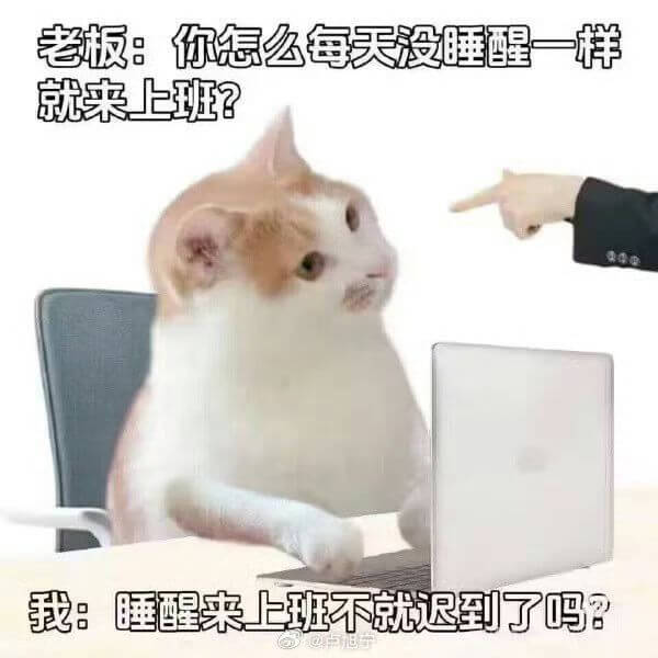 老板：你怎么每天没睡醒一样就来上班？我：睡醒来上班不就迟到了