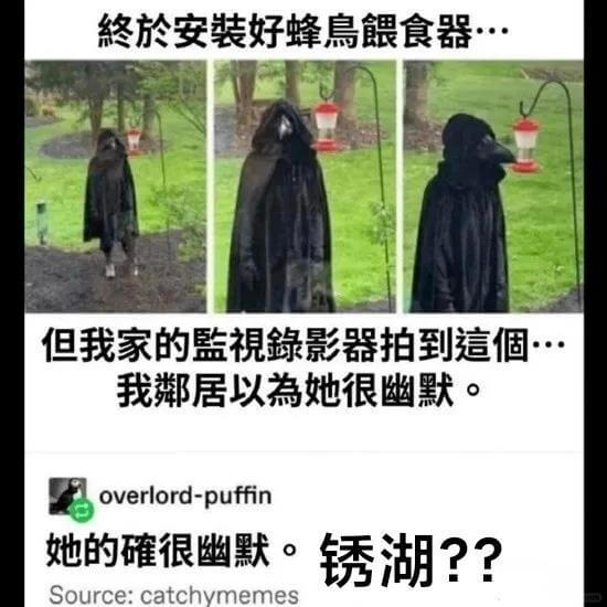 终於安装好蜂鳥食器·但我家的蓝視影器拍到個我居以為她很幽默。