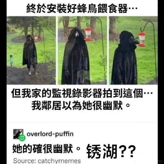 终於安装好蜂鳥食器·但我家的蓝視影器拍到個我居以為她很幽默。