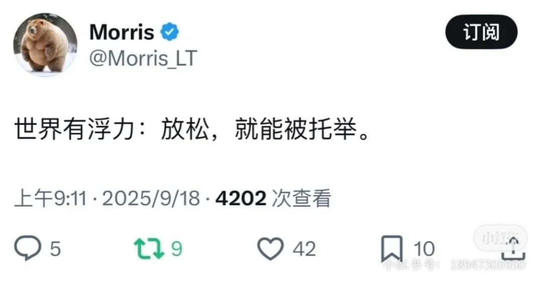 Morris订阅@MorrisLT世界有浮力：放松，就能被托