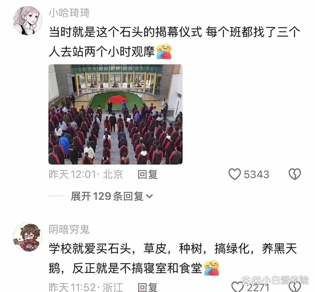 小哈琦琦当时就是这个石头的揭幕仪式,每个班都找了三个人去站两
