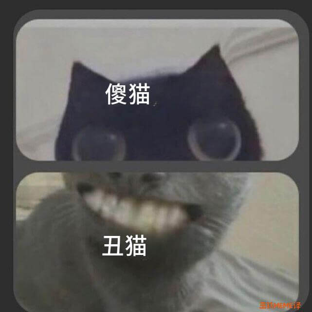 傻猫丑猫三械EME译