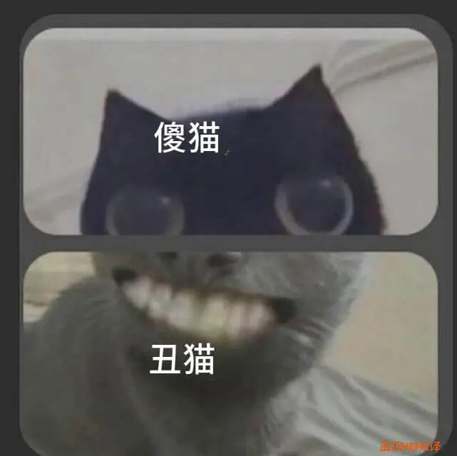 傻猫丑猫三械EME译
