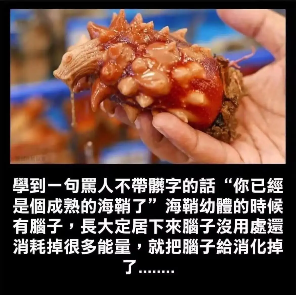尊敬的一句需要人不带“鳞”字的话：“你已經是固成熟的海鞘了。