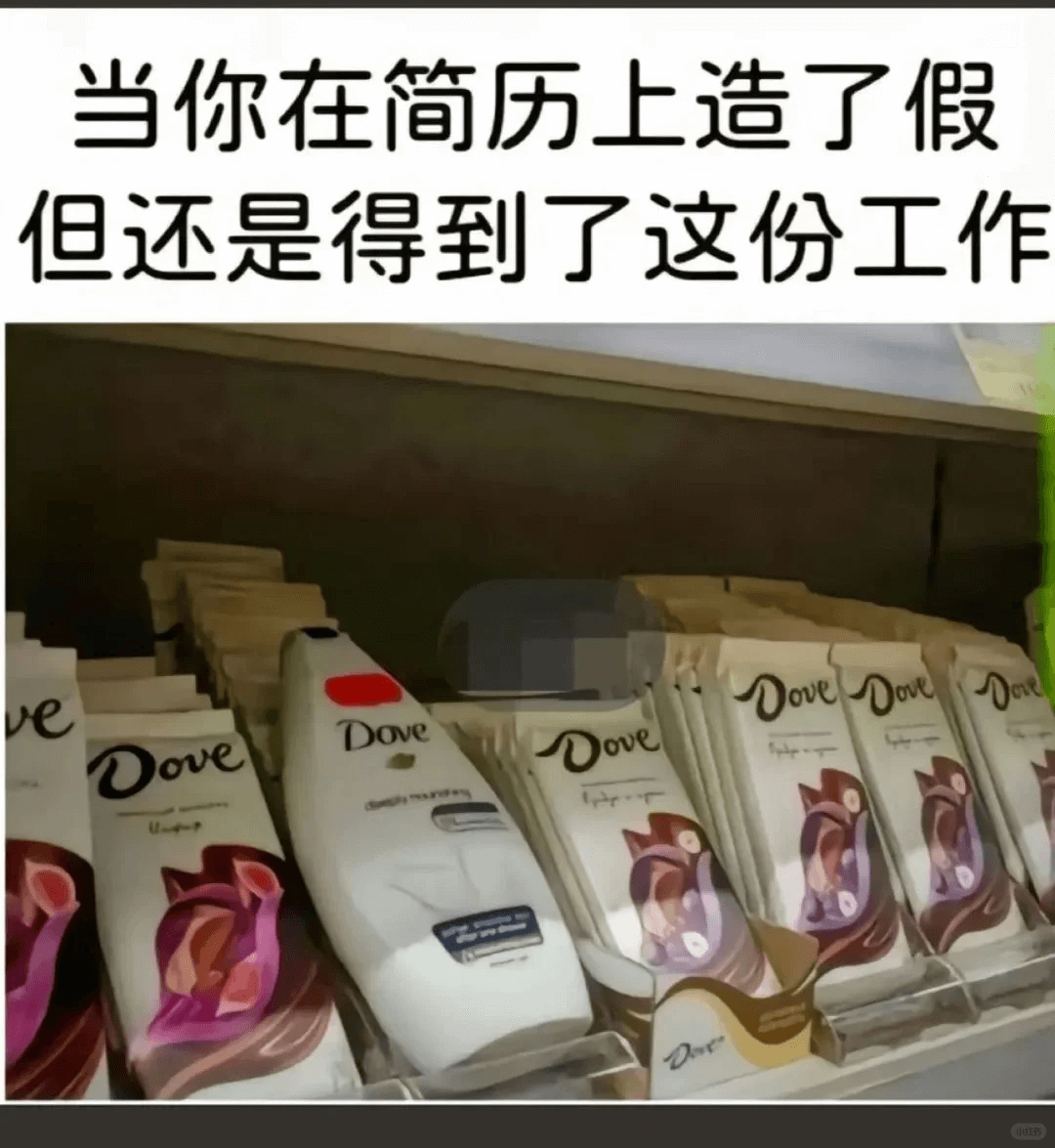当你在简历上造了假，但还是得到了这份工作。DoveDoveD