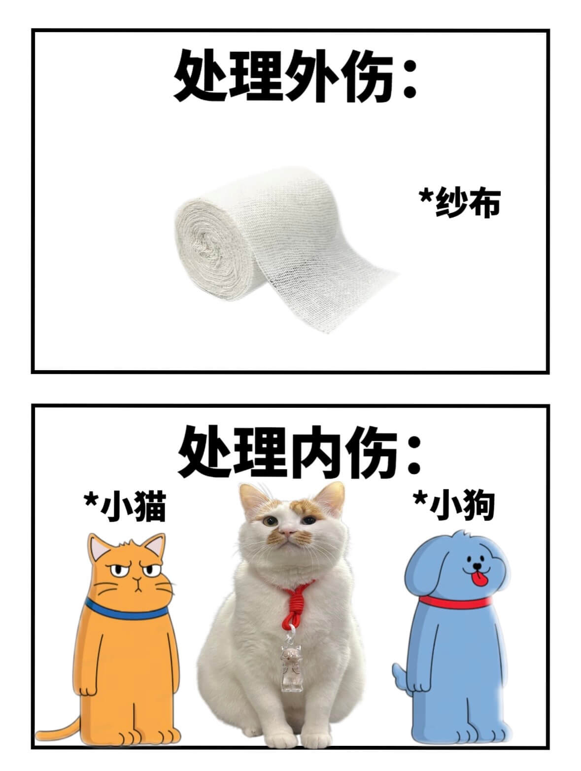 处理外伤：*纱布处理内伤：*小猫*小狗