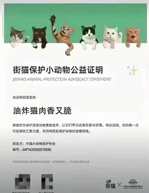 街猫保护小动物公益证明JIEMAOANIMALPROTECT