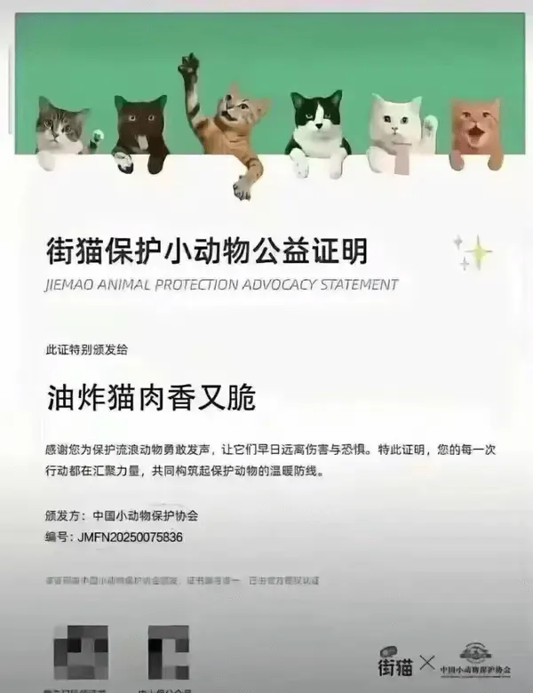 街猫保护小动物公益证明JIEMAOANIMALPROTECT