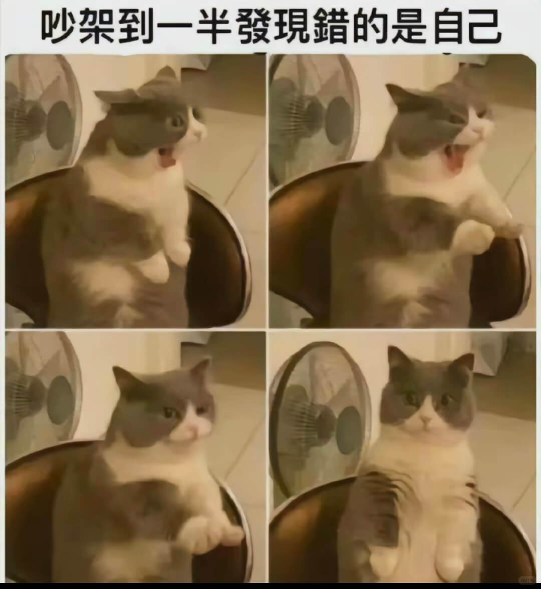 架到一半發現罐的是自己