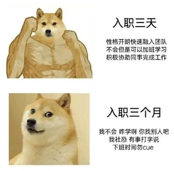 入职三天性格开朗，快速融入团队。不会，但是可以加班学习。积极