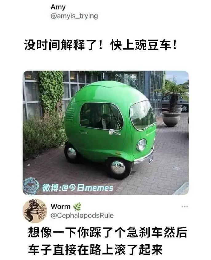 没时间解释了！快上豌豆车！微博:@今日memesWorm@C