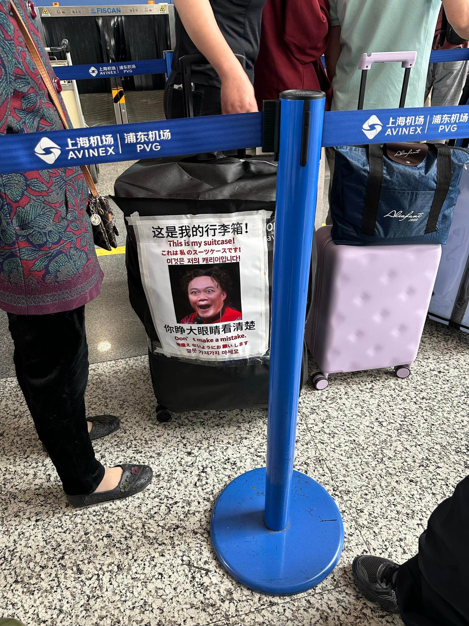 EFISCANA上海机场/浦东机场AVINEXIPVG浦东机