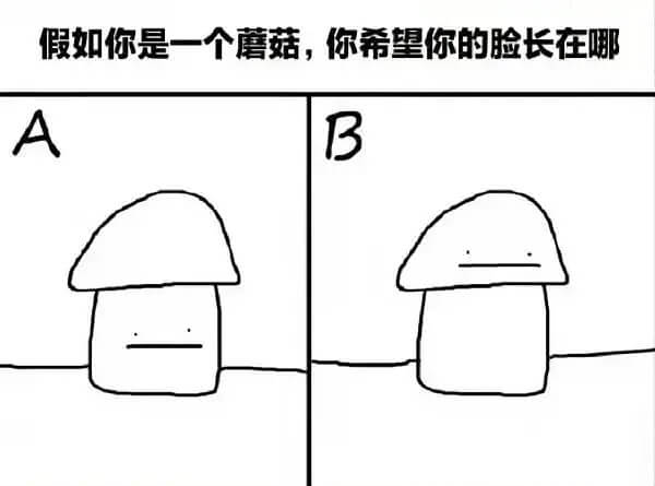 假如你是一个蘑菇，你希望你的脸长在哪AB