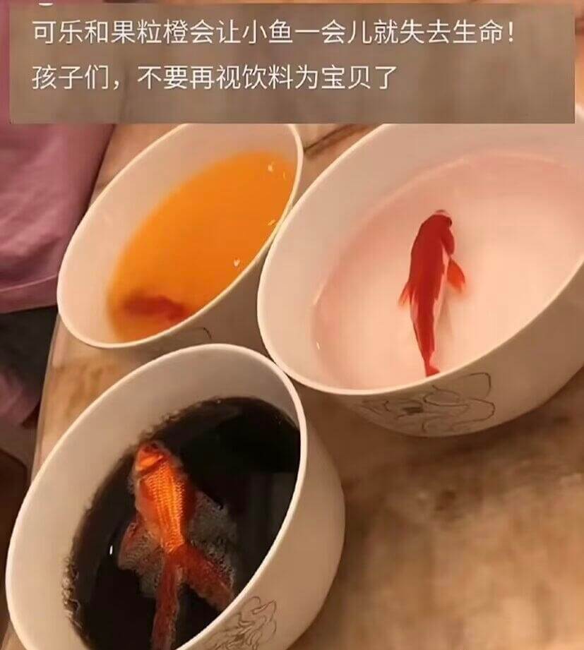 可乐和果粒橙会让小鱼一会儿就失去生命！孩子们，不要再视饮料为