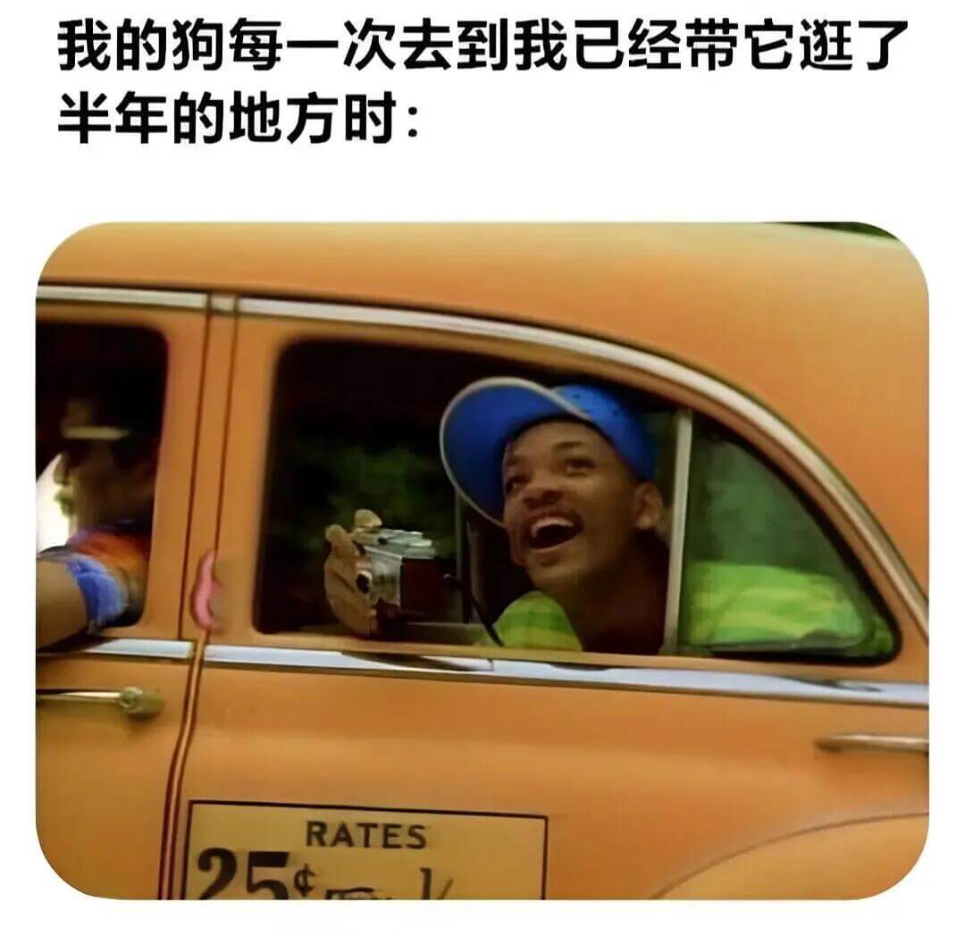 我的狗每一次去到我已经带它逛了半年的地方时：RATES