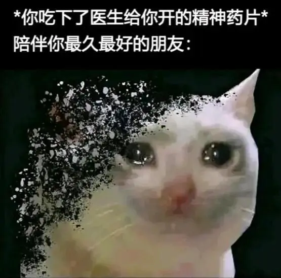 *你吃下了医生给你开的精神药片*陪伴你最久最好的朋友: