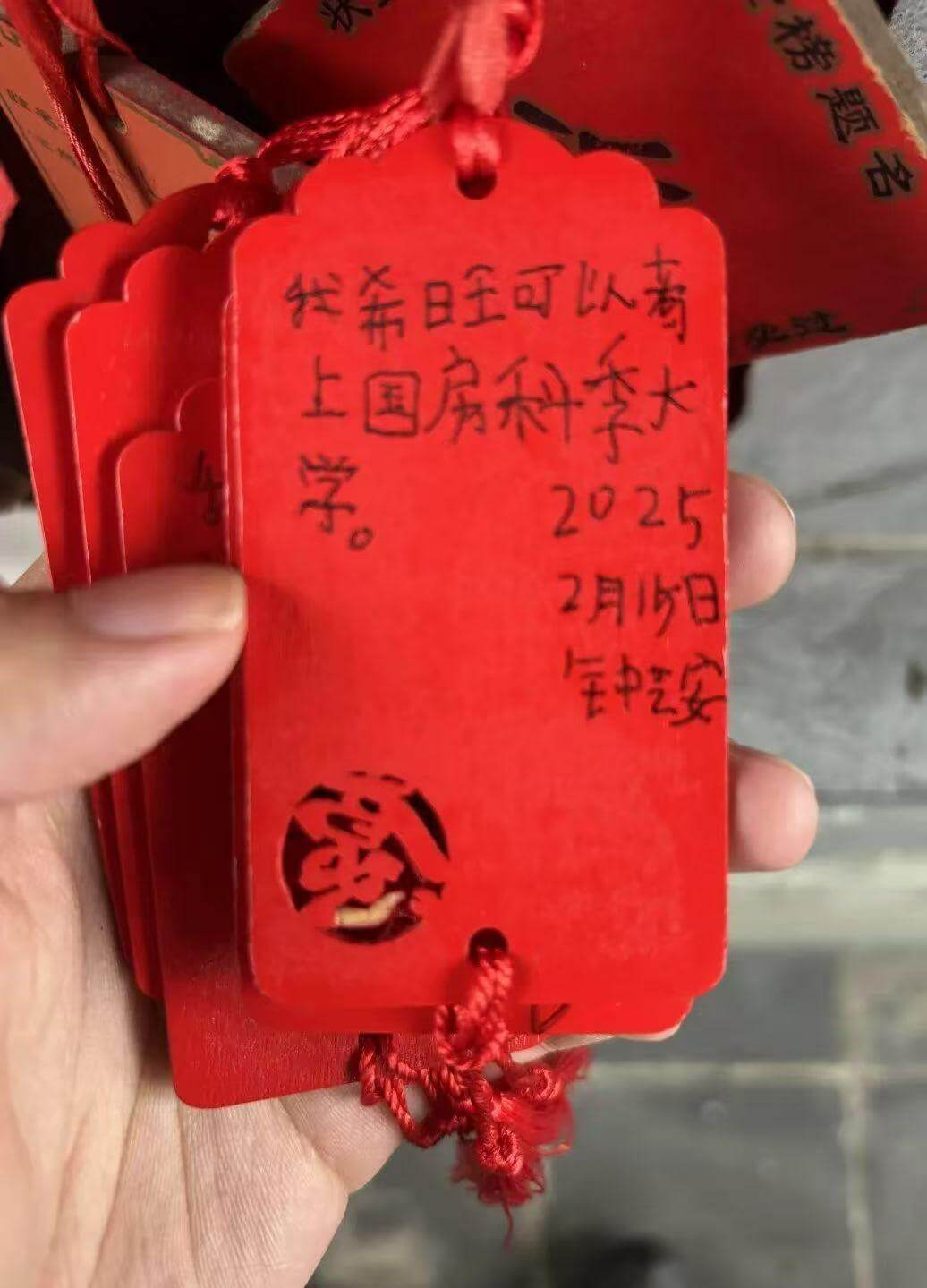 我奢旺可以者上国房科李大20252月15日宝中艺安