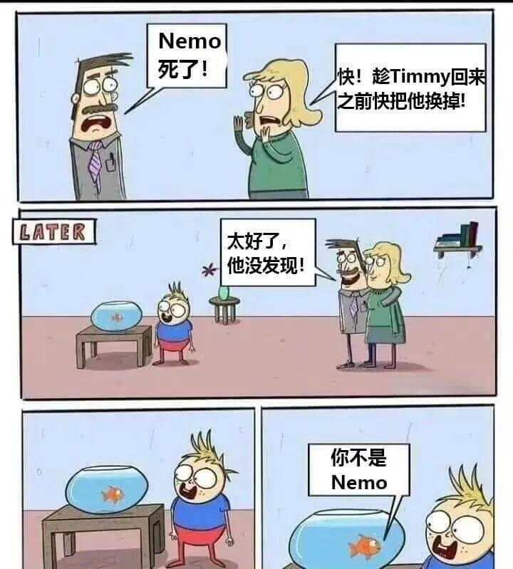 Nemo死了！快！趁Timmy回来之前快把他换掉！LATER